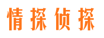 河北区市出轨取证